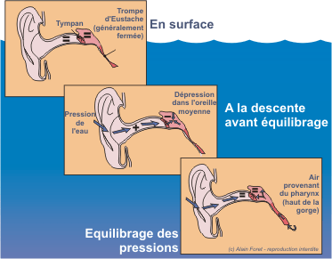 Fig.13 - Equilibrage des Pressions